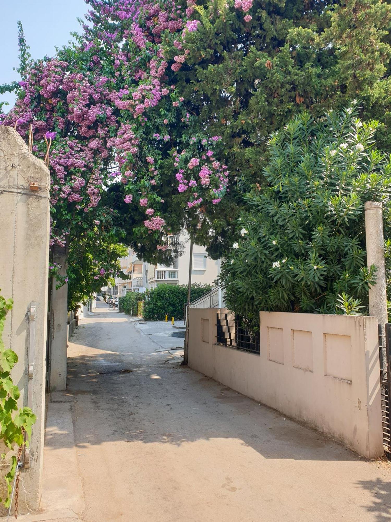Lamada One Bedroom דירה בודווה